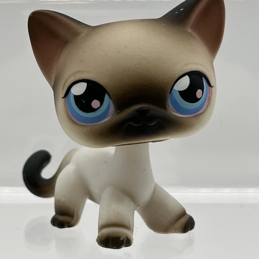Littlest Pet Shop LPS #5 Siamese Cat Kitten Hasbro 2004 -READ